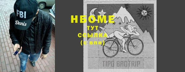 шишки Балахна