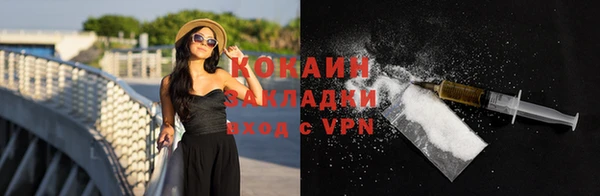 шишки Балахна