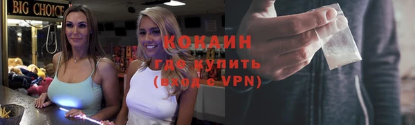 шишки Балахна