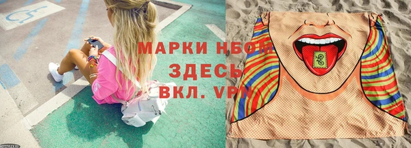 шишки Балахна