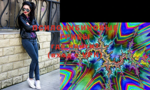 шишки Балахна