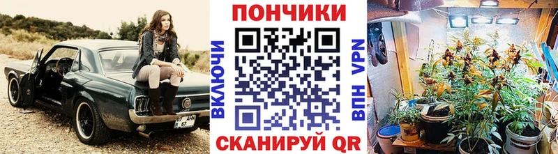 сколько стоит  Наволоки  Конопля планчик 